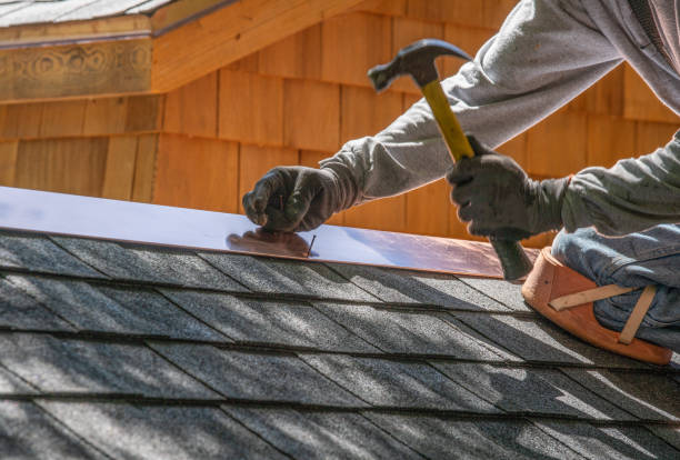Best Solar Panel Roofing Installation  in Parkers Prairie, MN