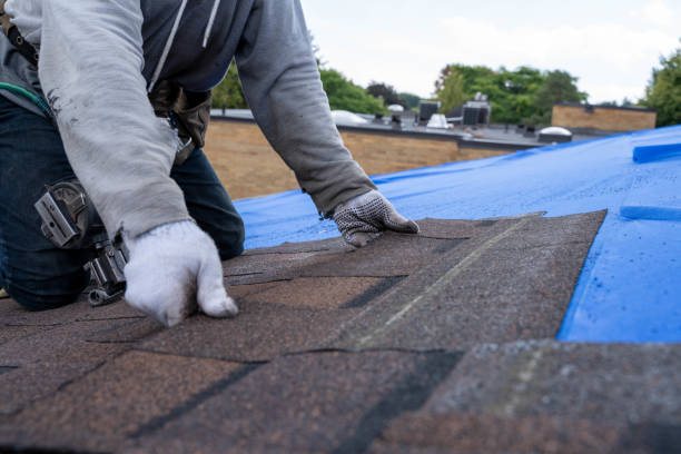 Best Asphalt Shingle Roofing  in Parkers Prairie, MN