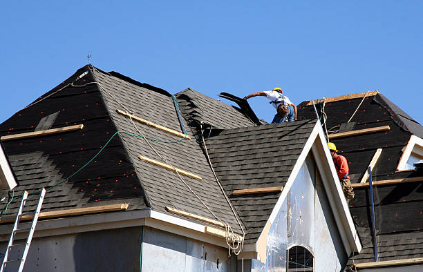 Best Roof Insulation Installation  in Parkers Prairie, MN