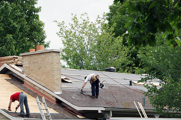 Best Gutter Installation and Repair  in Parkers Prairie, MN