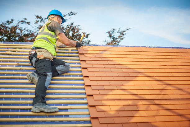 Best Wood Shake Roofing  in Parkers Prairie, MN